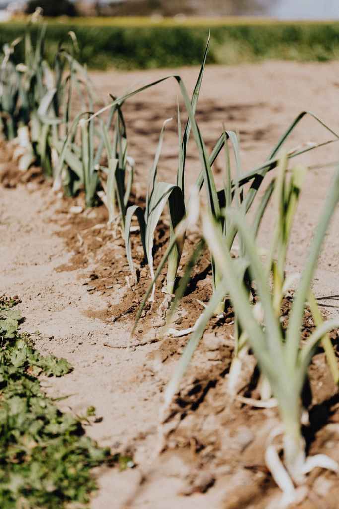 Photo by Karolina Grabowska on Pexels.com