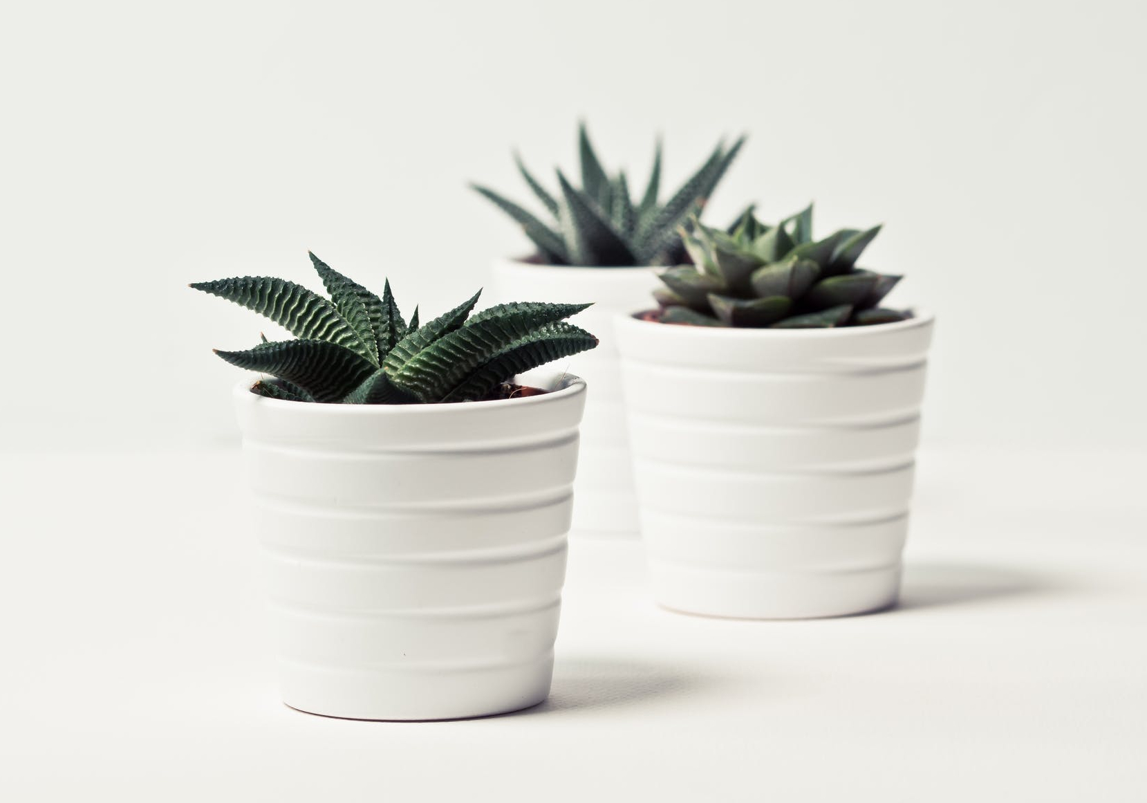 Photo by Ylanite Koppens on Pexels.com